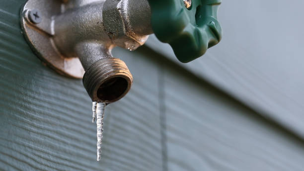 Best Shower Repair Services  in Vley Grande, AL